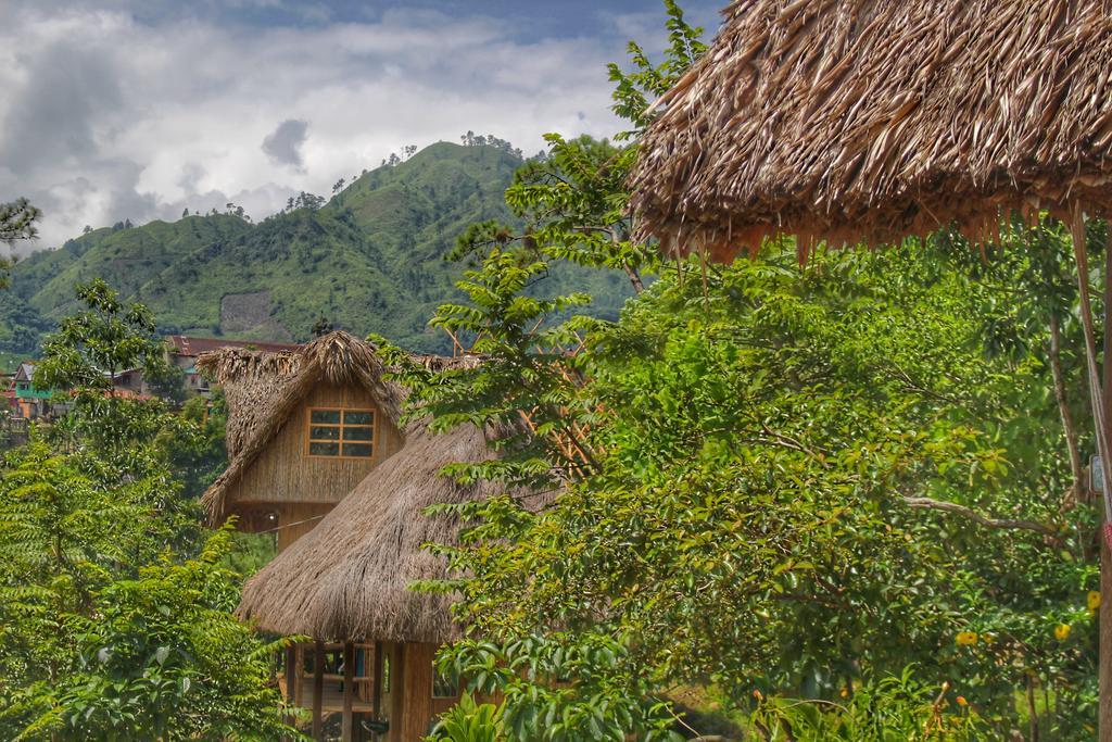 Vista Hostel *